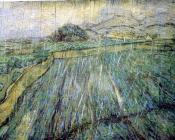 文森特 威廉 梵高 : 雨中的麦田